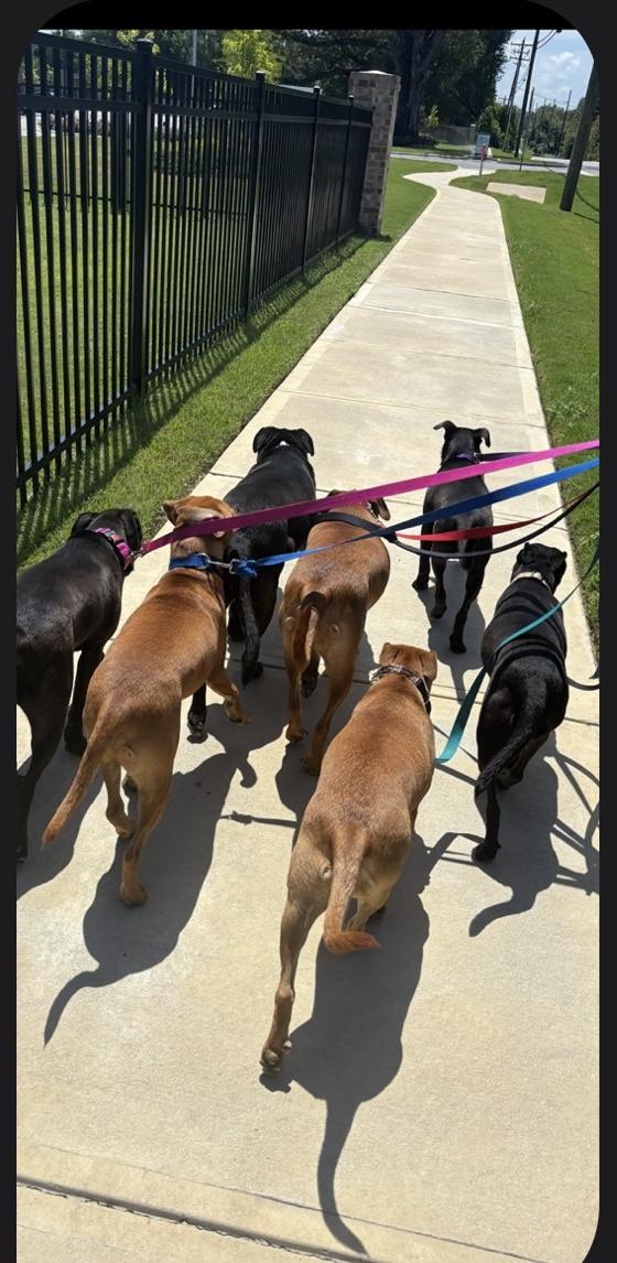 CAM……THE SNUGGLE BUDDY!!!!