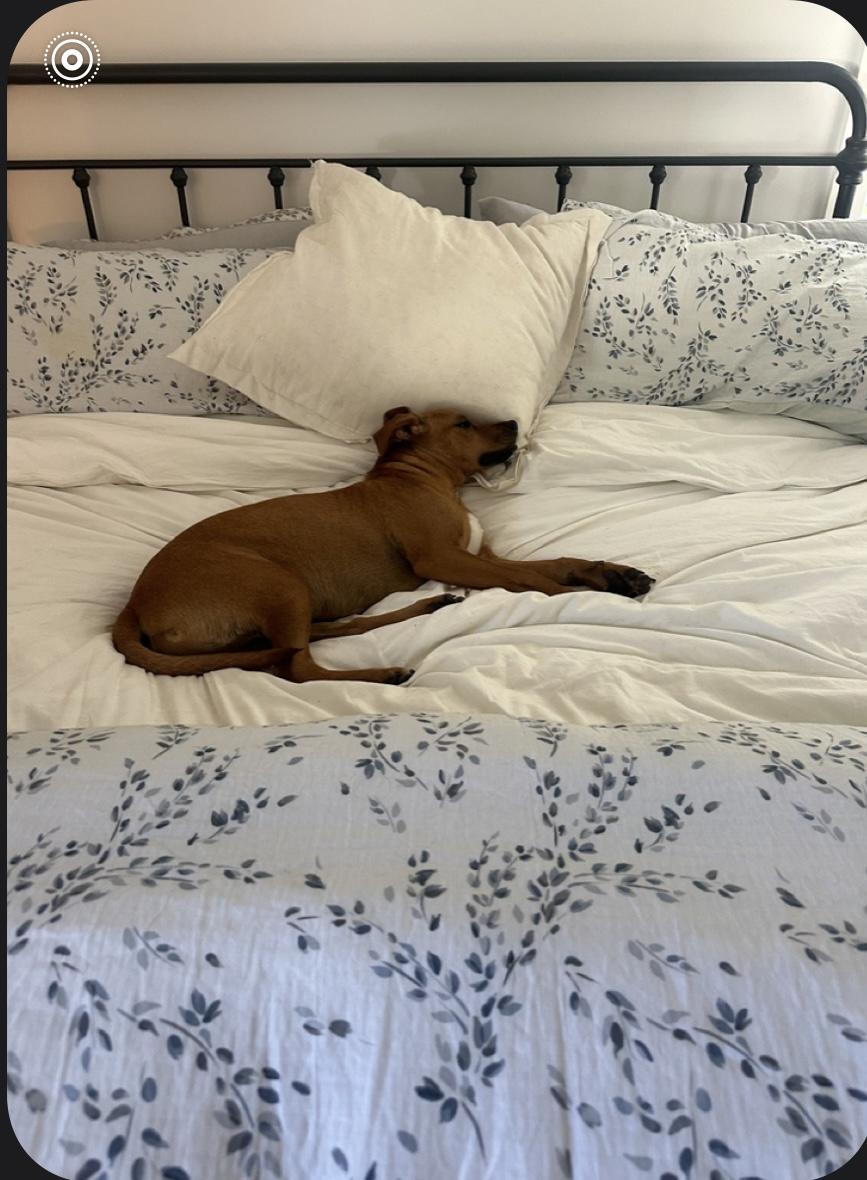 CAM……THE SNUGGLE BUDDY!!!!