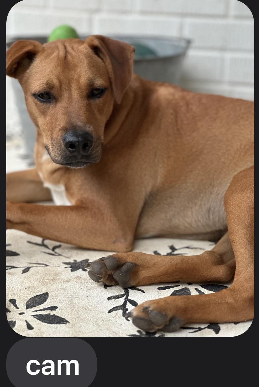 CAM……THE SNUGGLE BUDDY!!!!