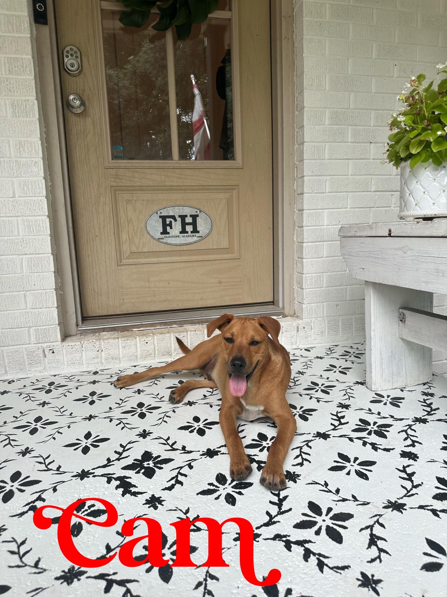 CAM……THE SNUGGLE BUDDY!!!!