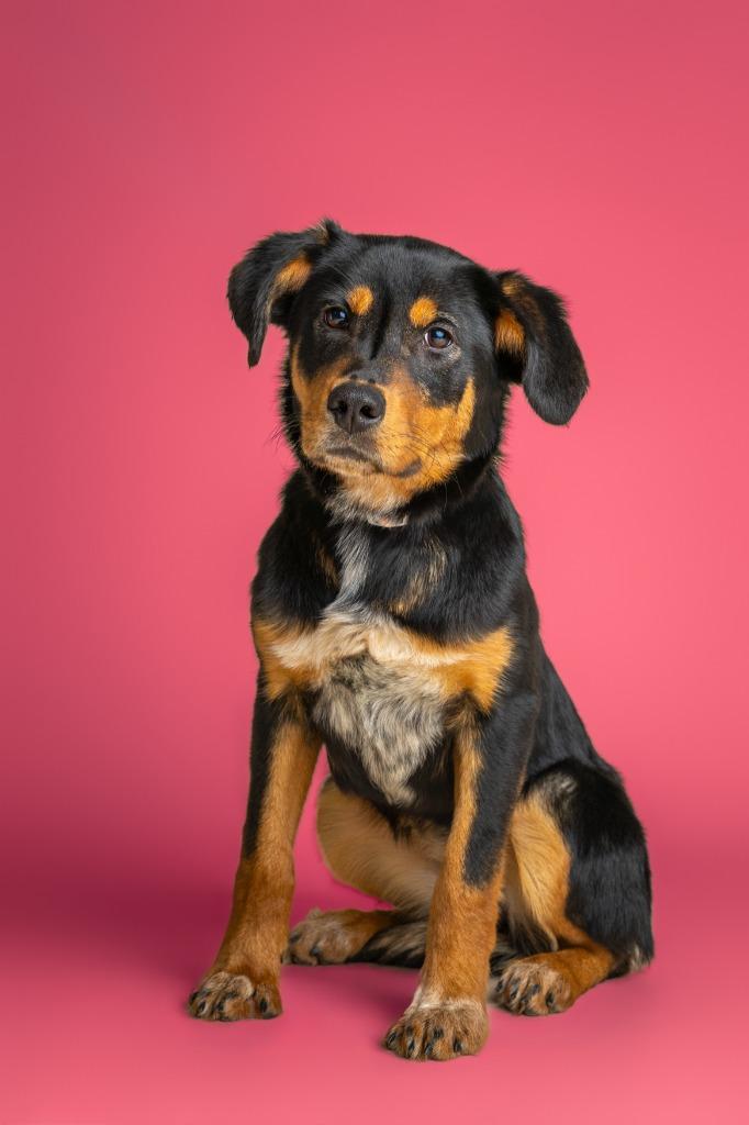 Raya — thumbnail 2