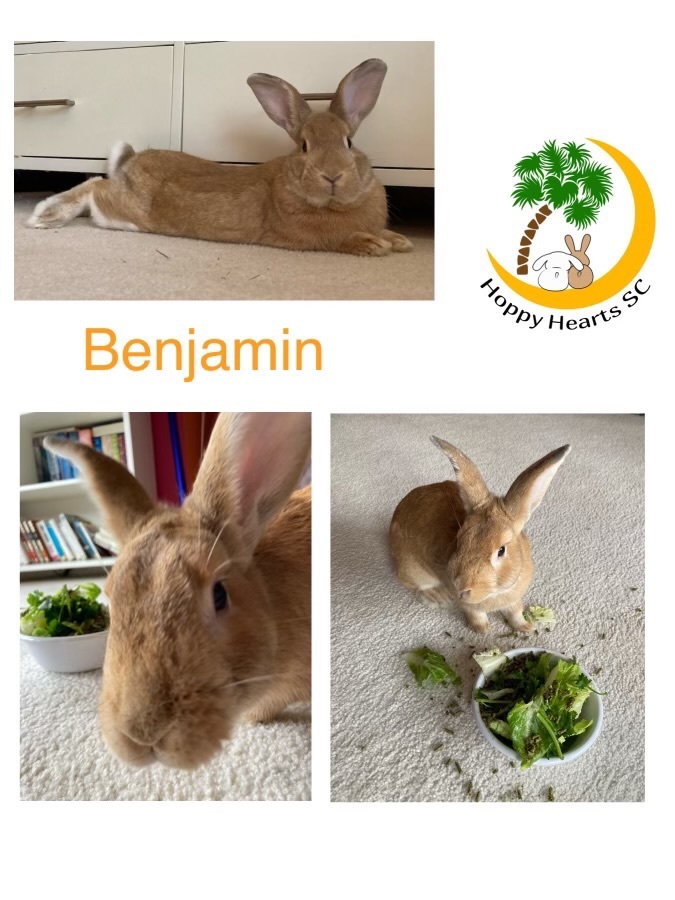 Benjamin photo 2