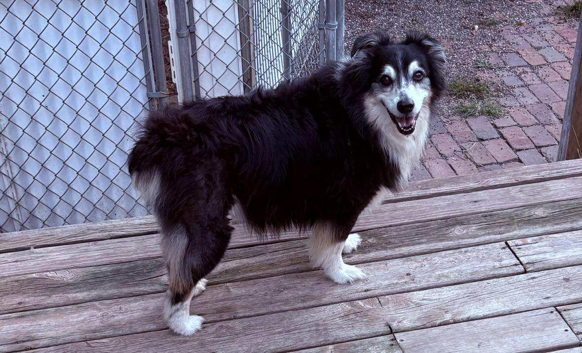 Molly
