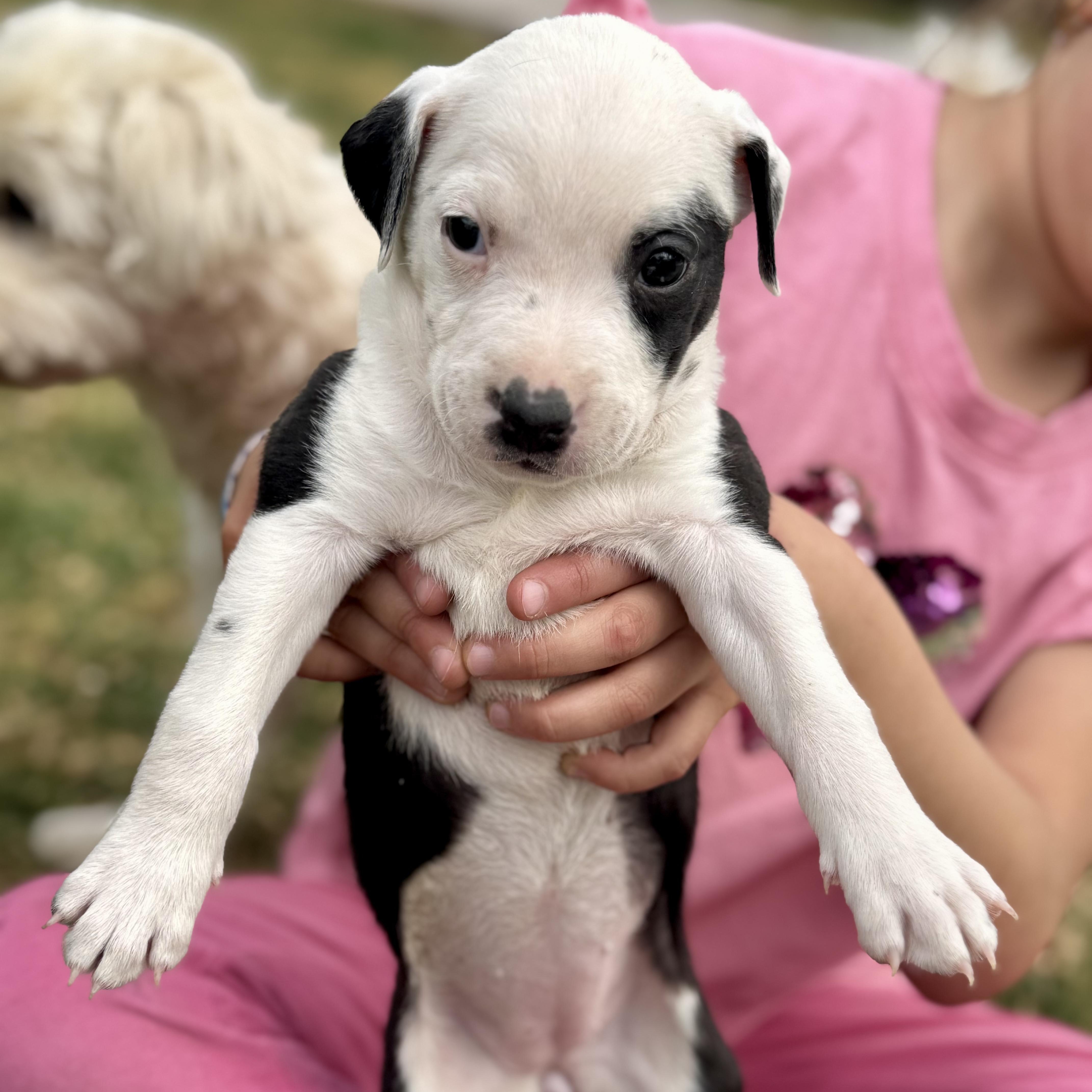 Monica — thumbnail 6