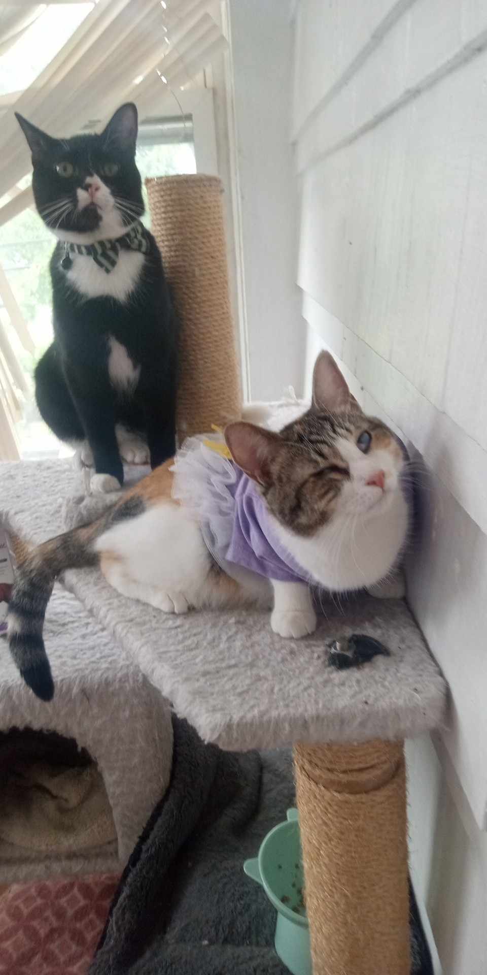 Grimace and Rosie