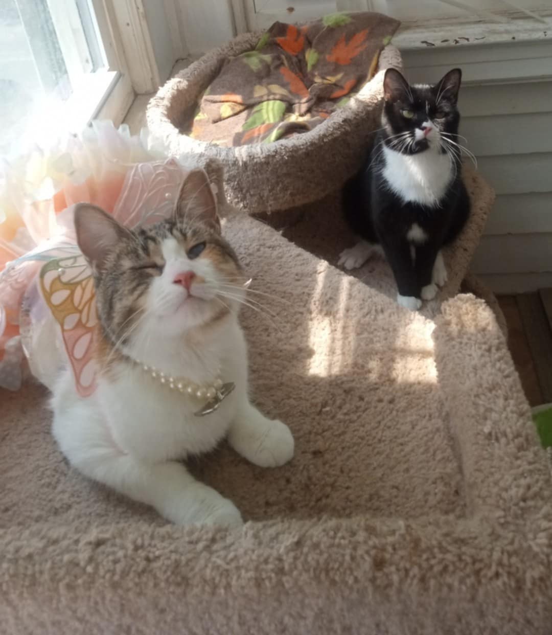 Grimace and Rosie