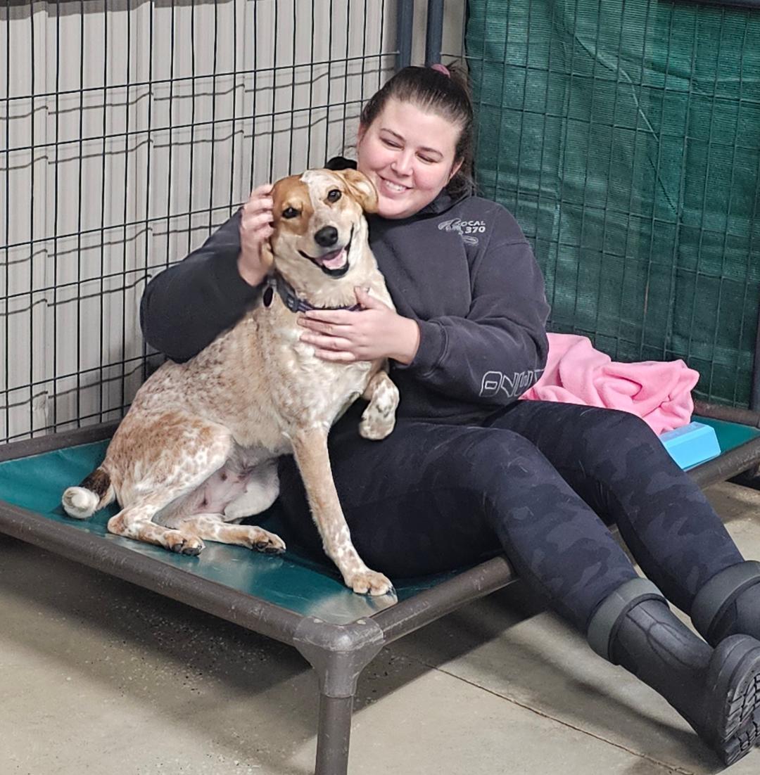 Enlarge Eve - Sponsored Fee, a ADOPTABLE mixed breed in Lapeer, MI image 3/6