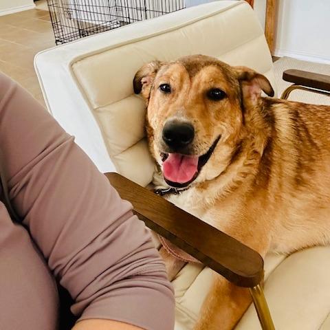 Layla — thumbnail 2