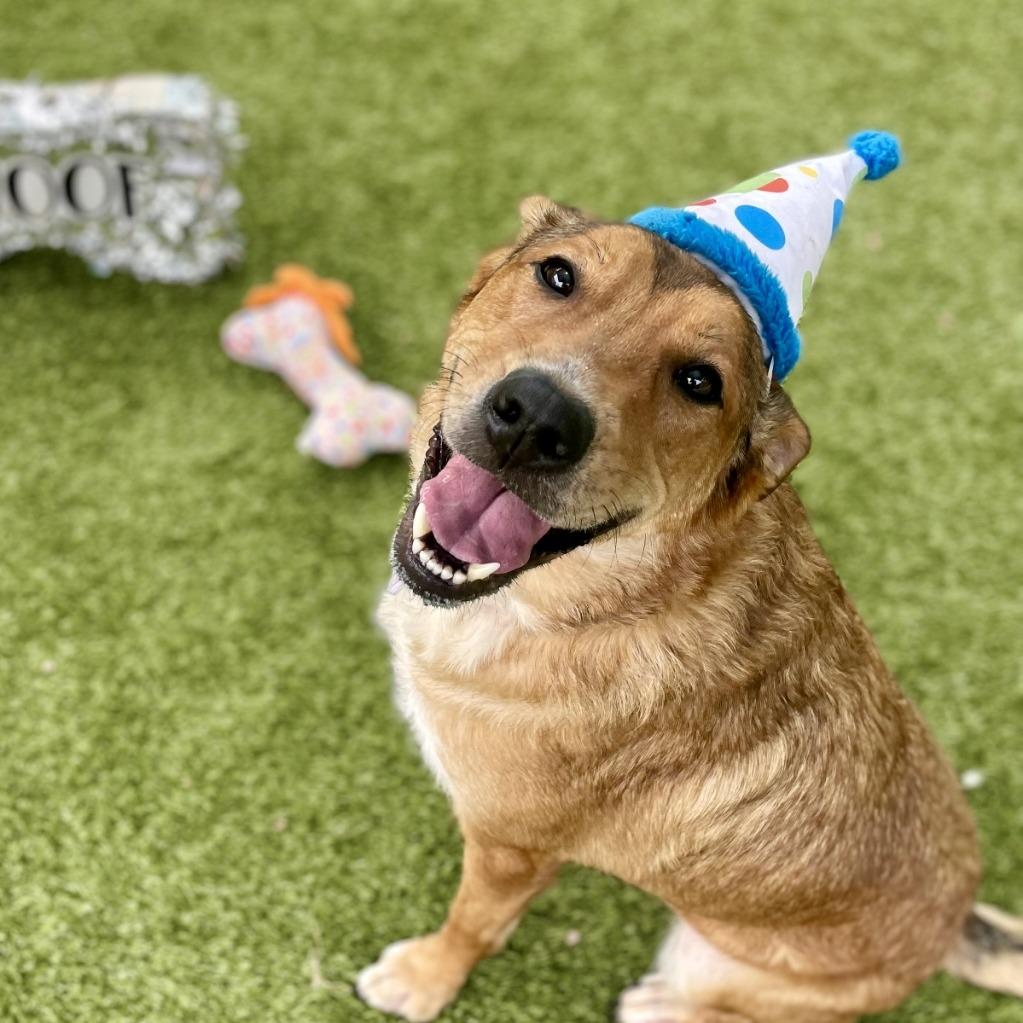 Layla — thumbnail 3