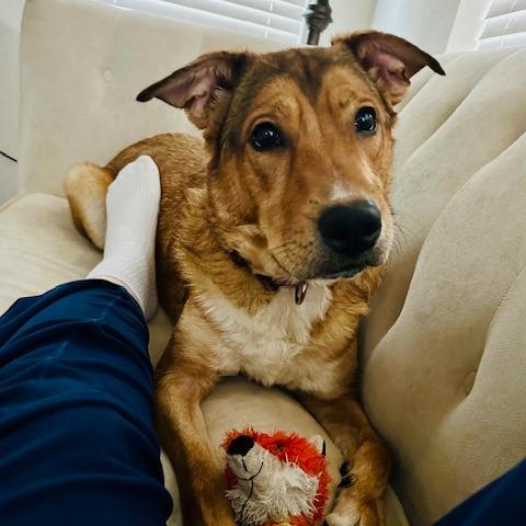 Layla — thumbnail 4