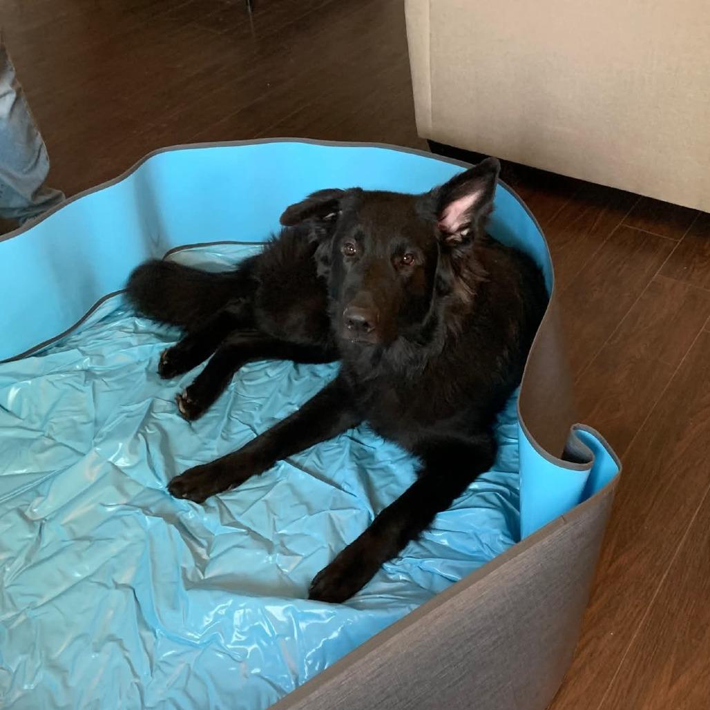 Loki — thumbnail 4