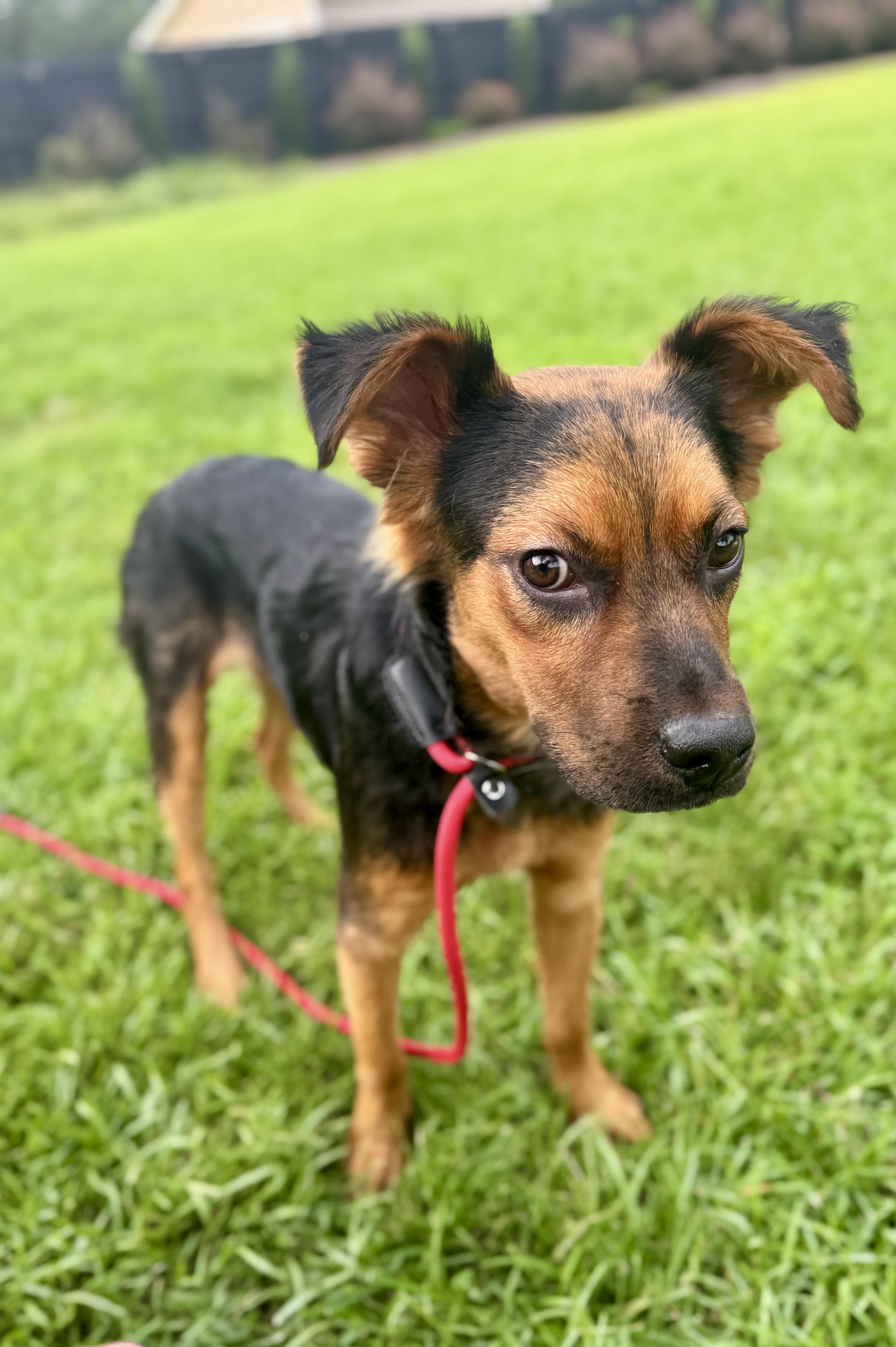 Ernie