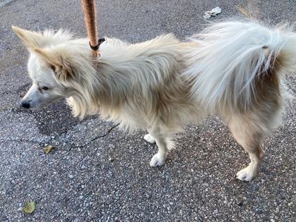 Doppelganger thumbnail 3