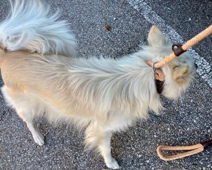 Doppelganger thumbnail 4