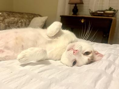 Meredith Grey — thumbnail 2