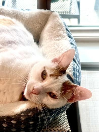 Meredith Grey — thumbnail 5