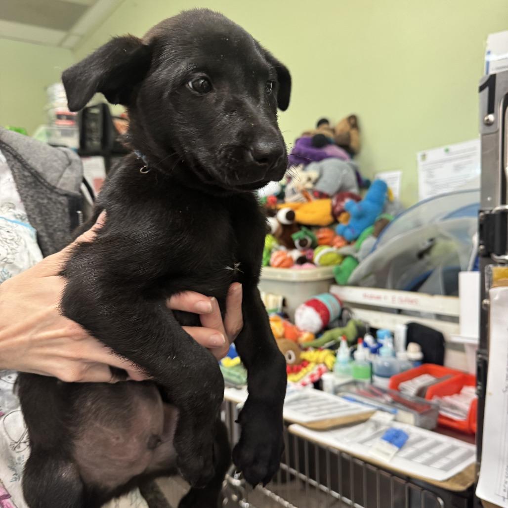 Big Blue — thumbnail 2