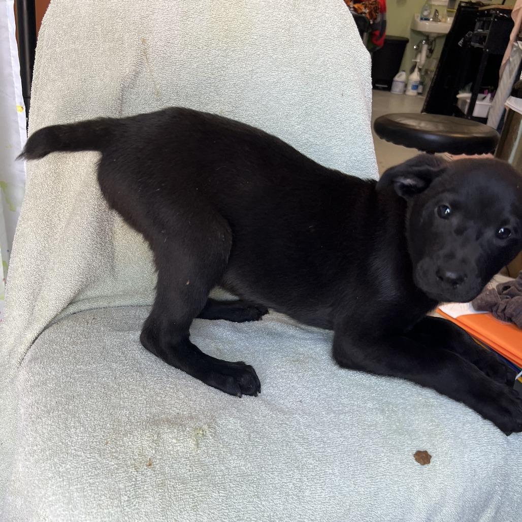 Big Blue — thumbnail 3