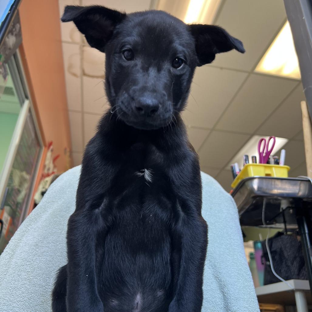 Big Blue — thumbnail 5