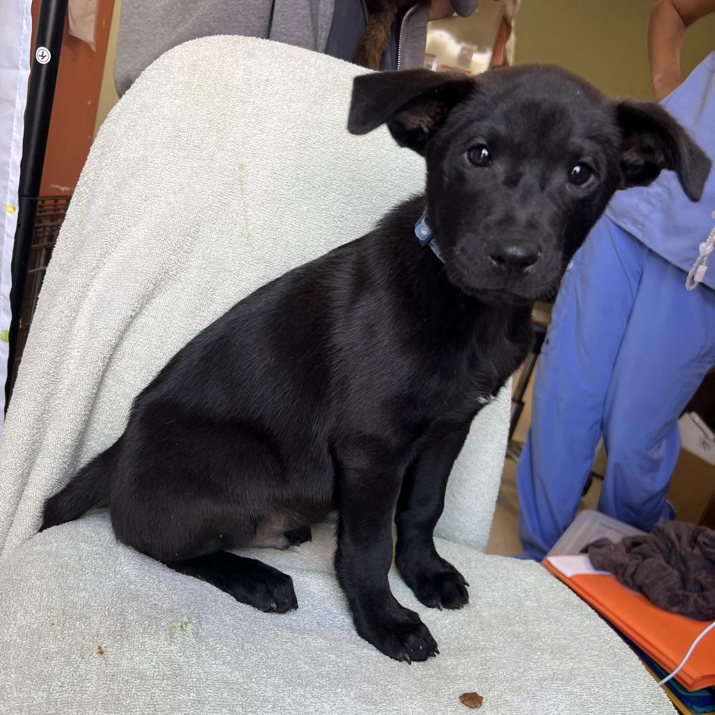 Big Blue — thumbnail 6