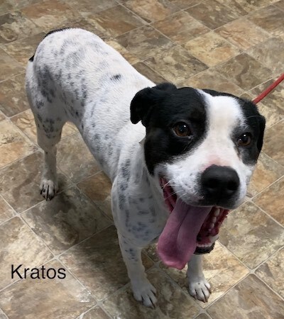 Kratos