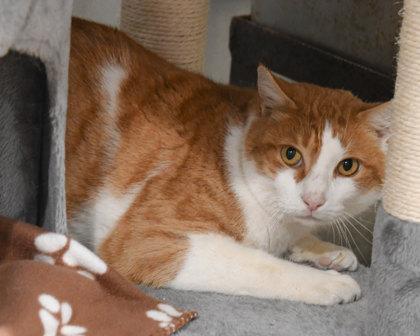 Karl — thumbnail 3