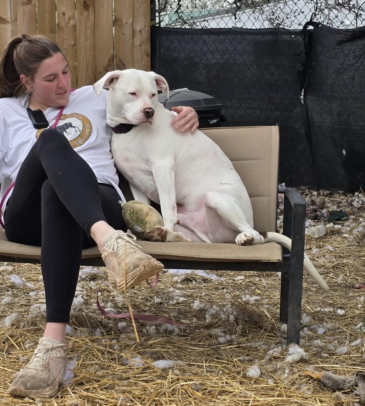Enlarge Bones, a Adoptable mixed breed in INDIANAPOLIS, IN image 6/6