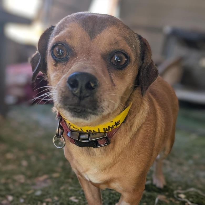 Charlie