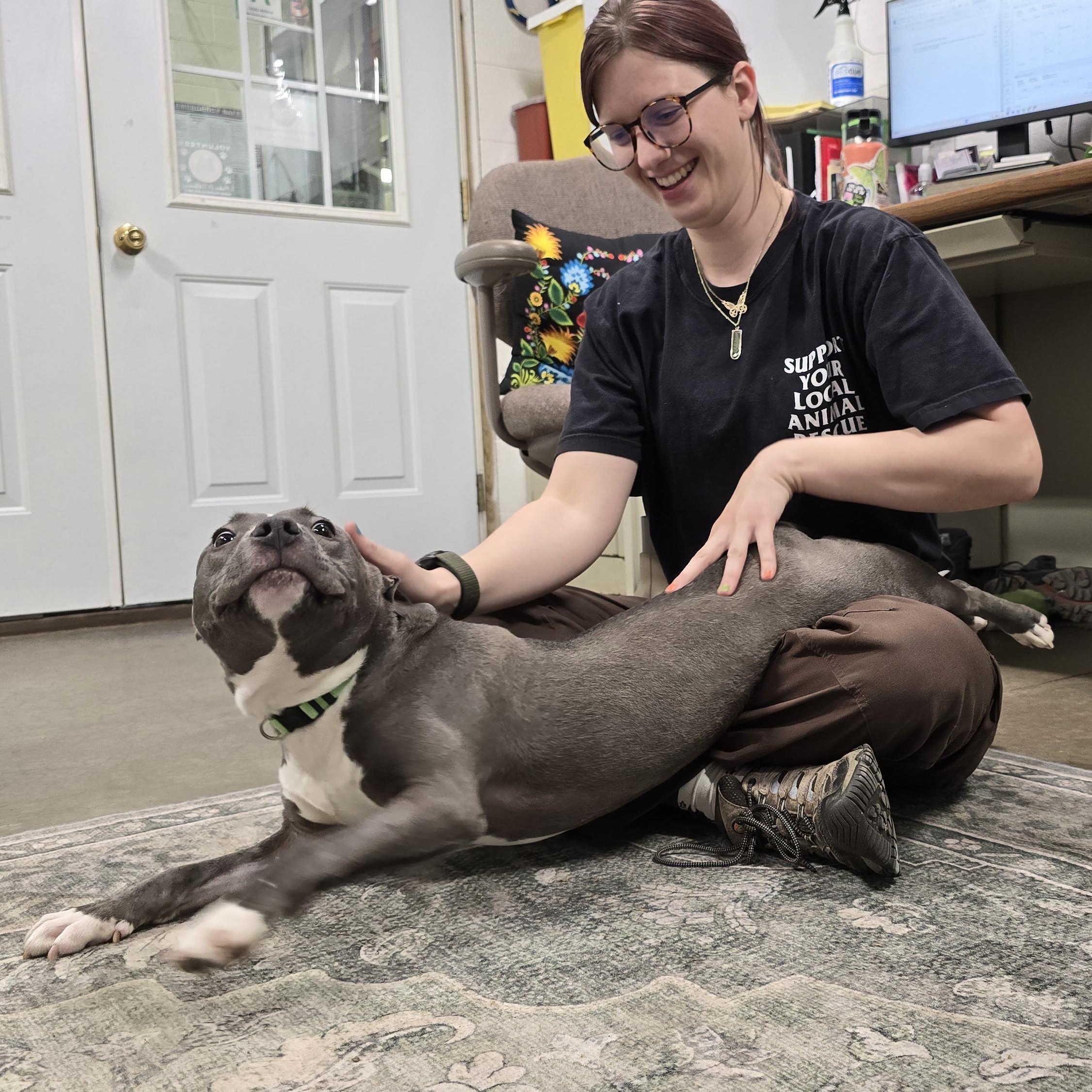 Enlarge Linus, an adoptable mixed breed in Lake Odessa, MI image 2/6