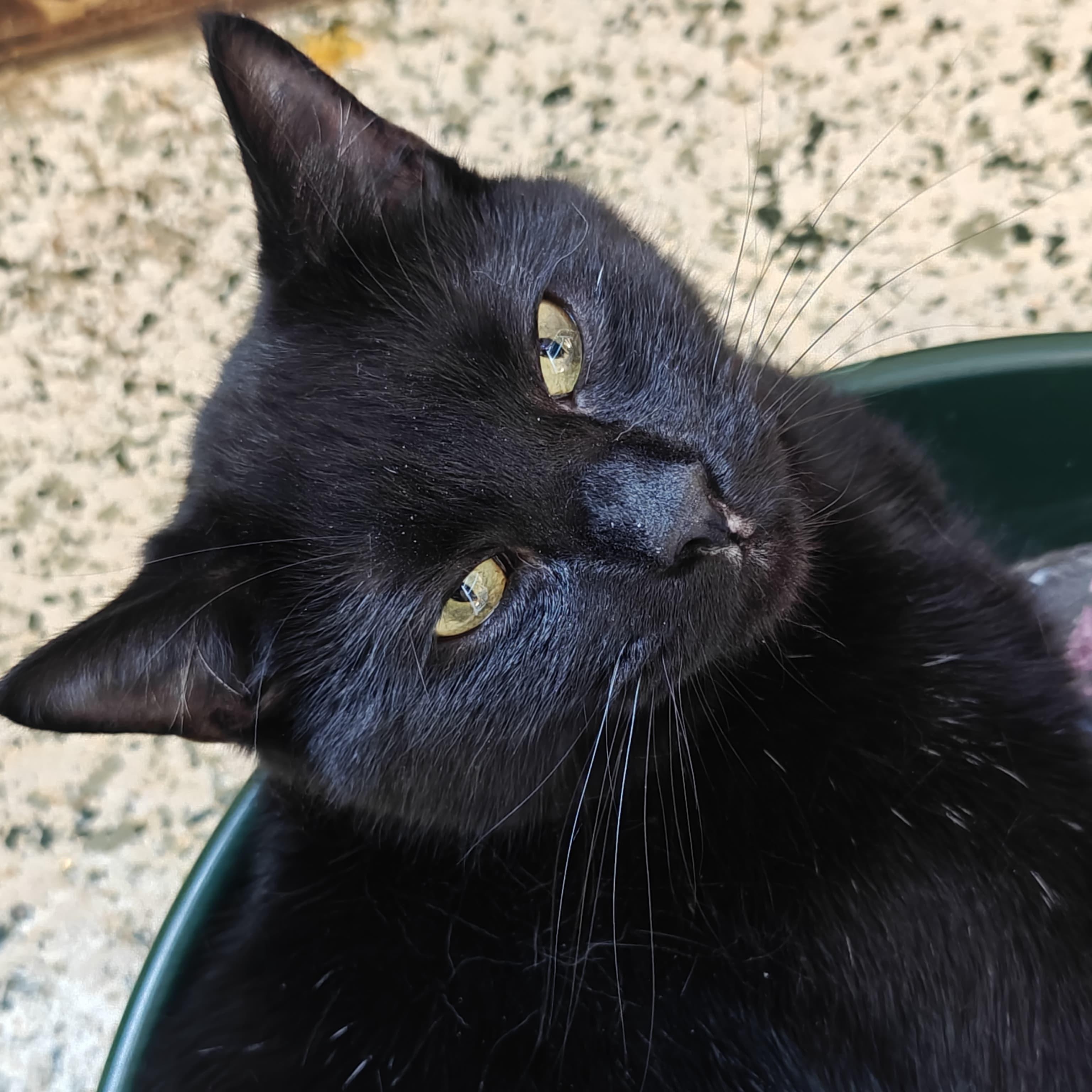 Salem