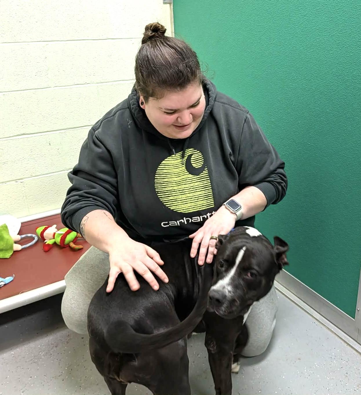 Enlarge Petunia GCI Trained Graduate!!, an adoptable mixed breed in Elyria, OH image 3/5