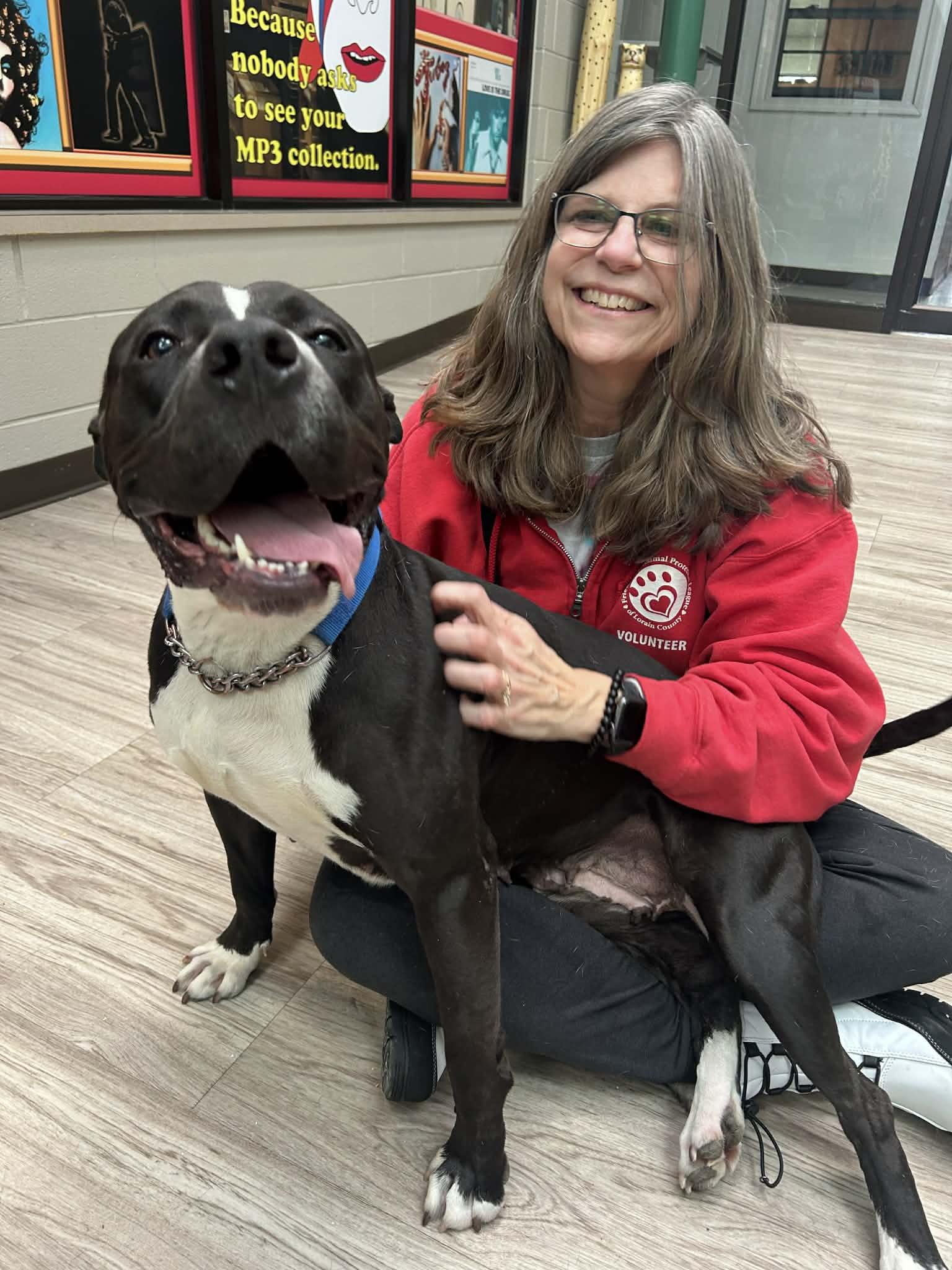 Petunia GCI Trained Graduate!!, an adopted mixed breed in Elyria, OH image 1/6