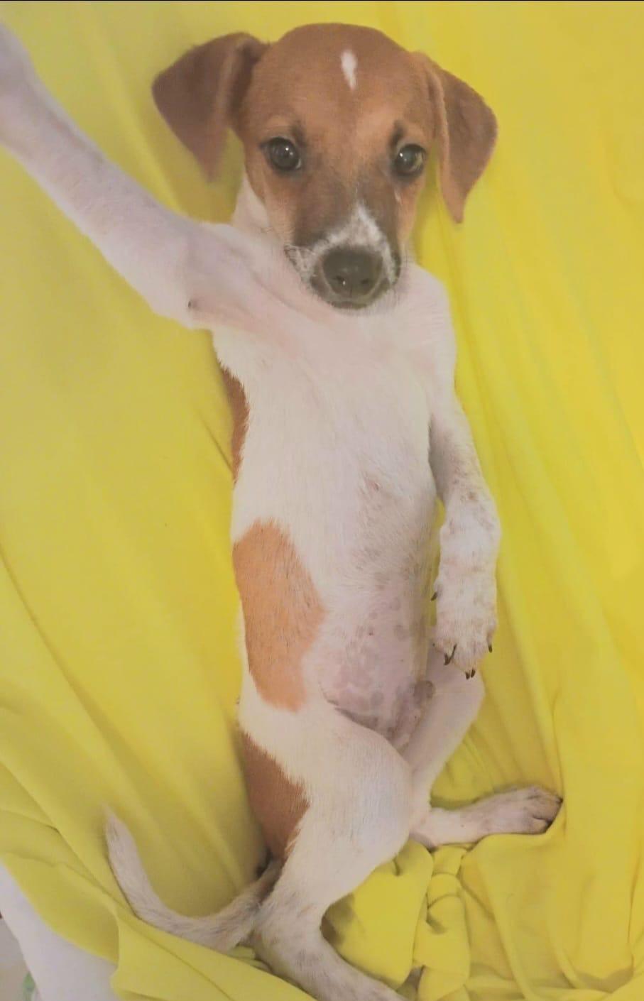 Heart "your Best Love!" thumbnail 2