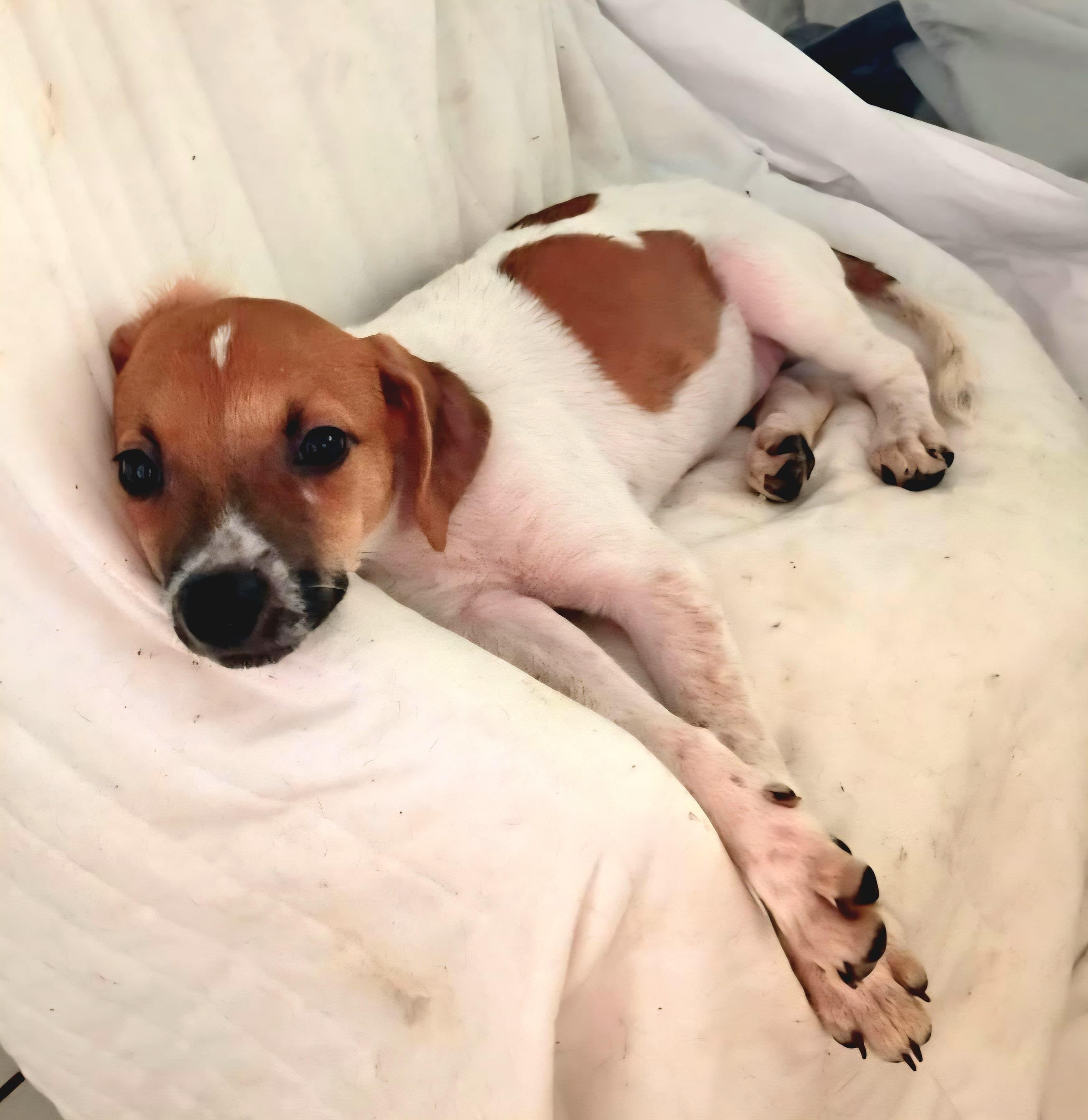 Heart "your Best Love!" thumbnail 3