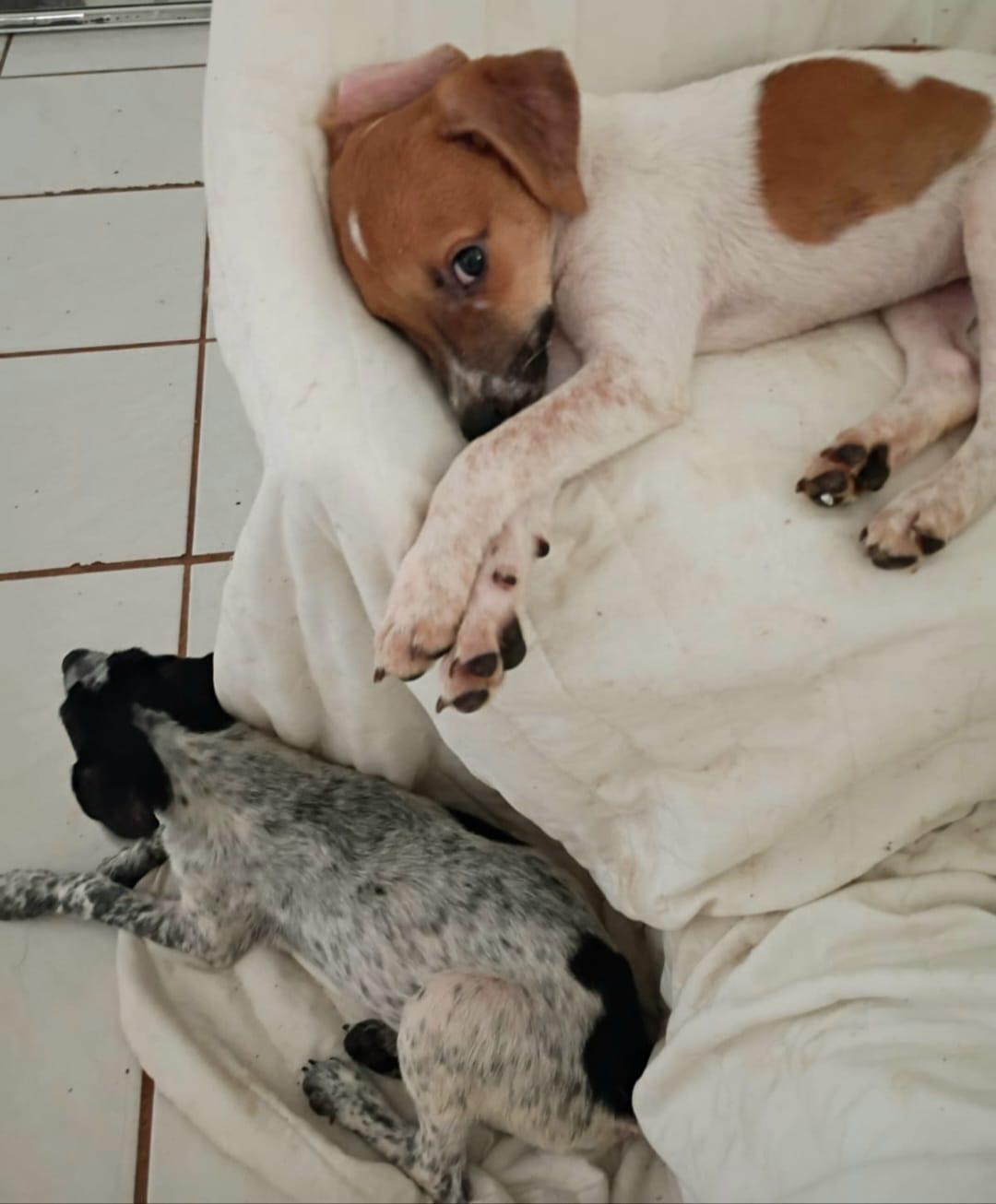 Heart "your Best Love!" thumbnail 4