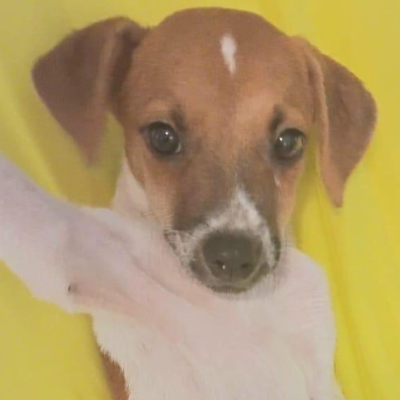 Heart "your Best Love!"