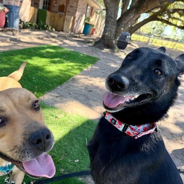 Wendy the Wonderful — thumbnail 4