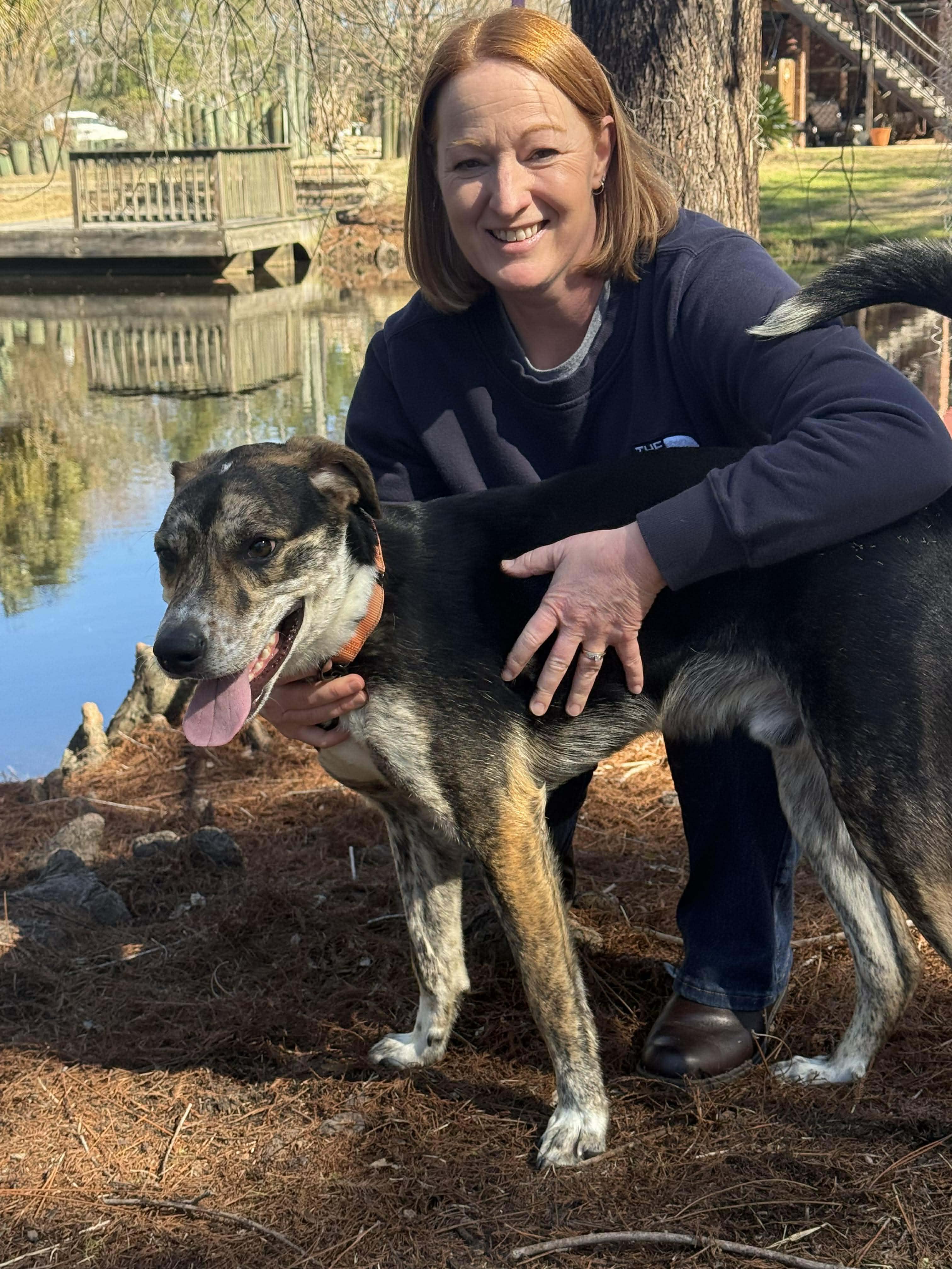 Enlarge Tator Tot , an adopted mixed breed in Southington, CT image 2/6