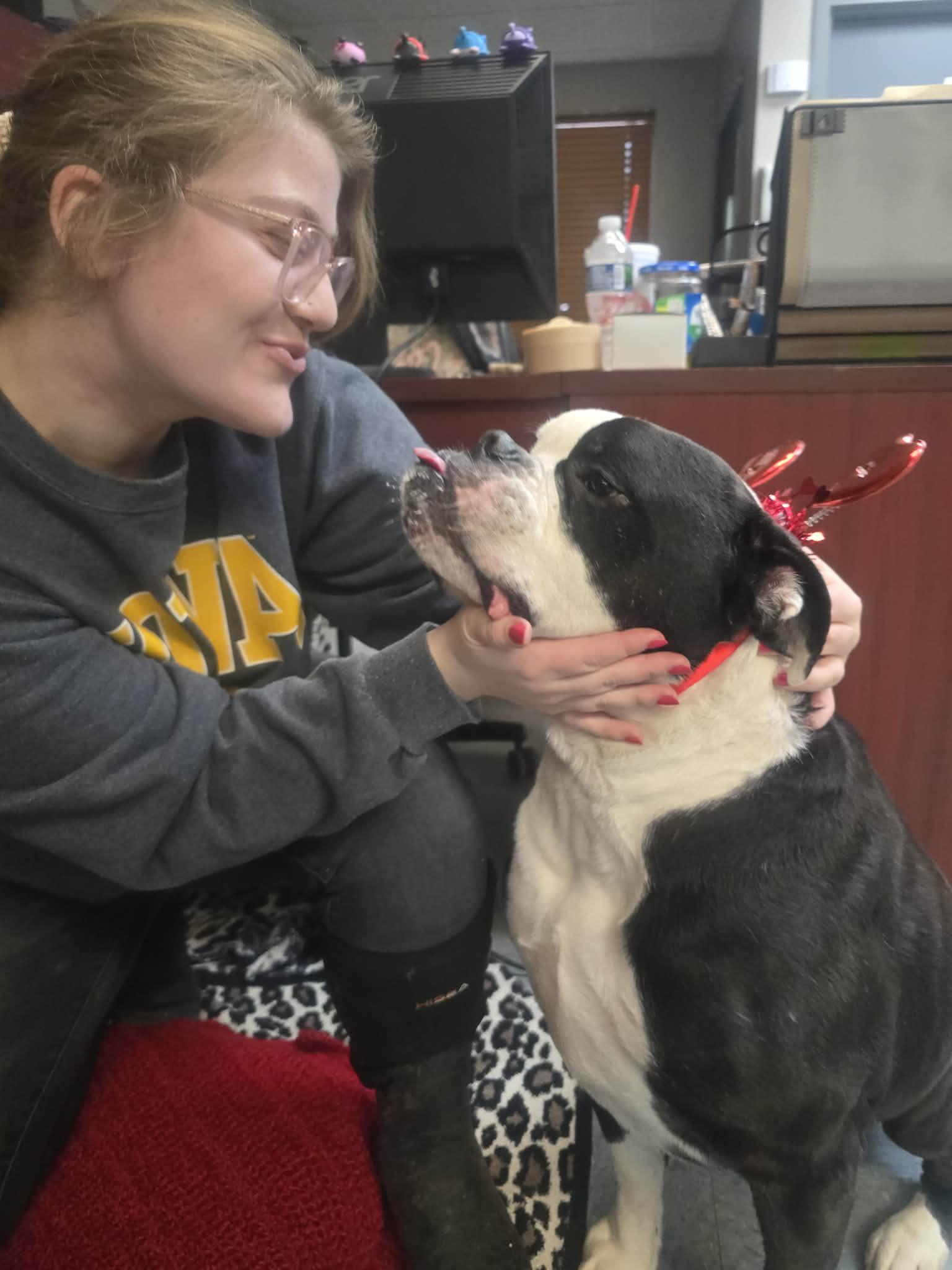 Enlarge Beverly, a ADOPTABLE mixed breed in Rock Falls, IL image 5/6