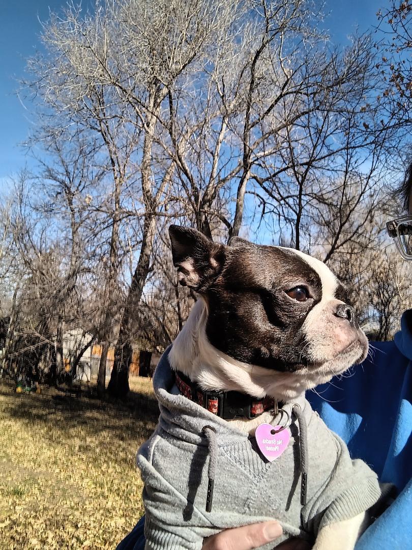 Stella In Co thumbnail 3