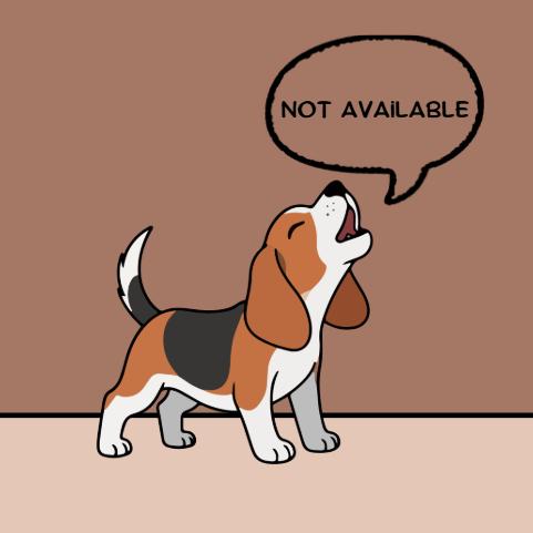 Enlarge Conway, a Adoptable Mixed Breed in Franklin, NC image 6/6