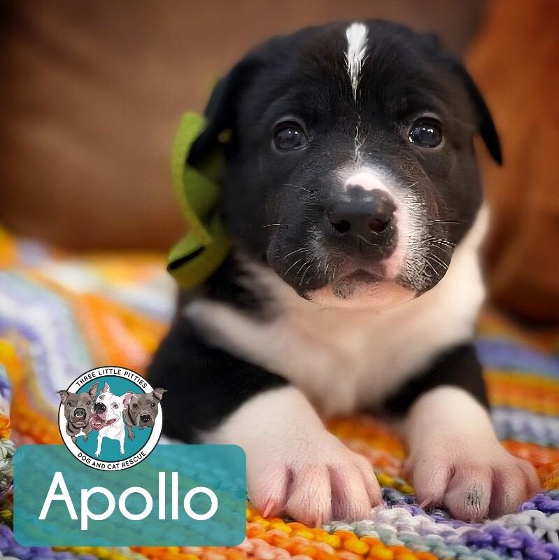 Apollo Space — thumbnail 2