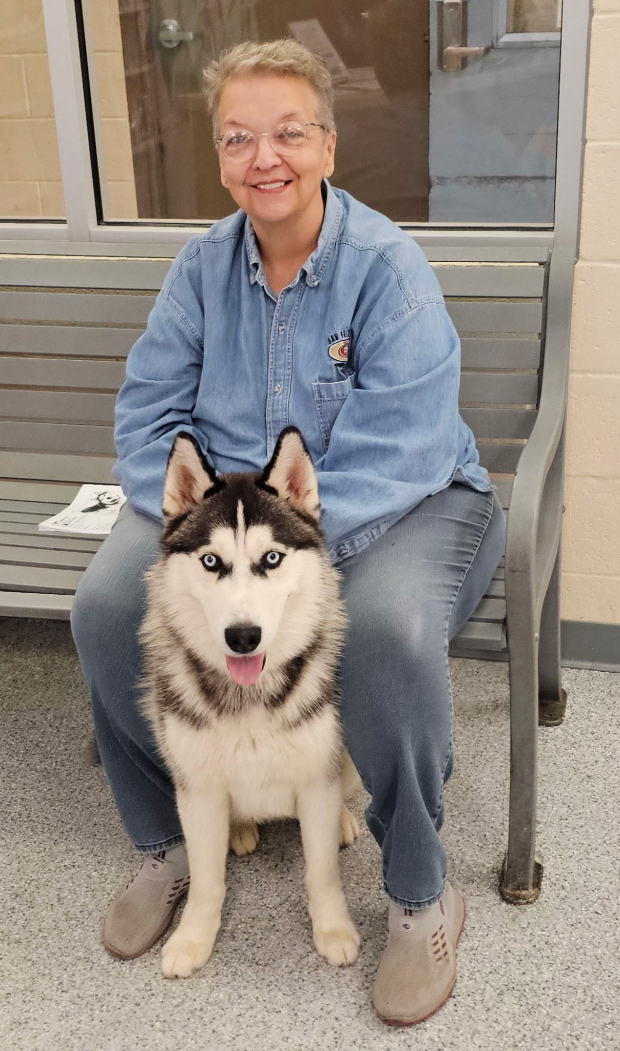 Loki, an adopted Husky in Watertown, CT image 2/5