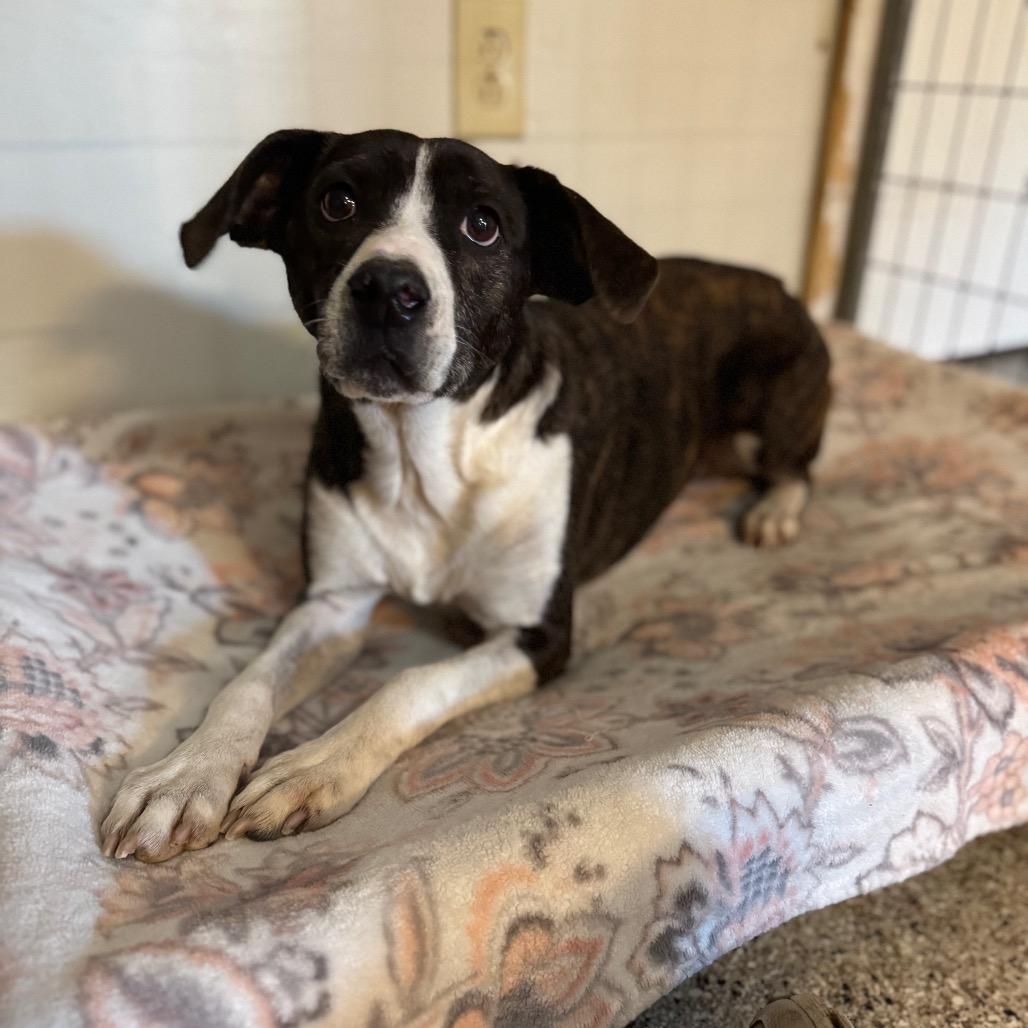 Starla — thumbnail 2