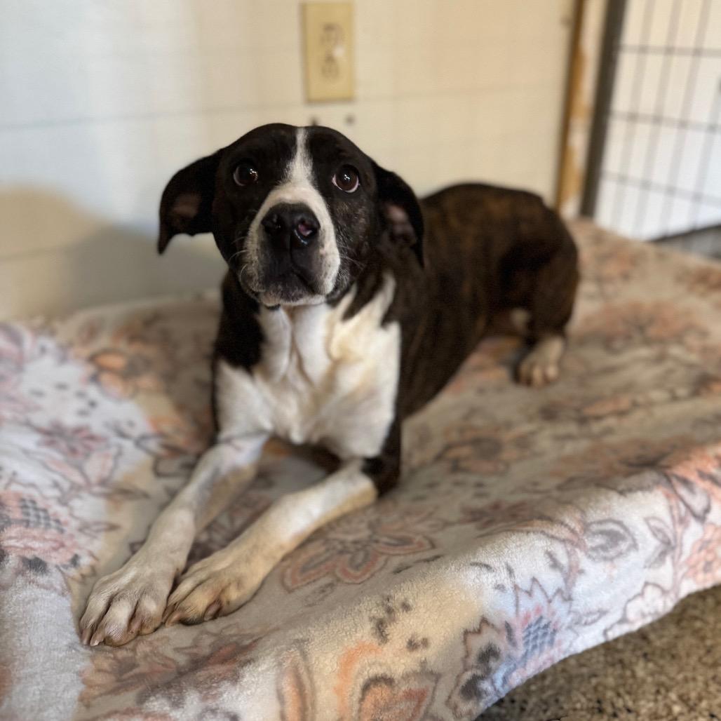 Starla — thumbnail 3