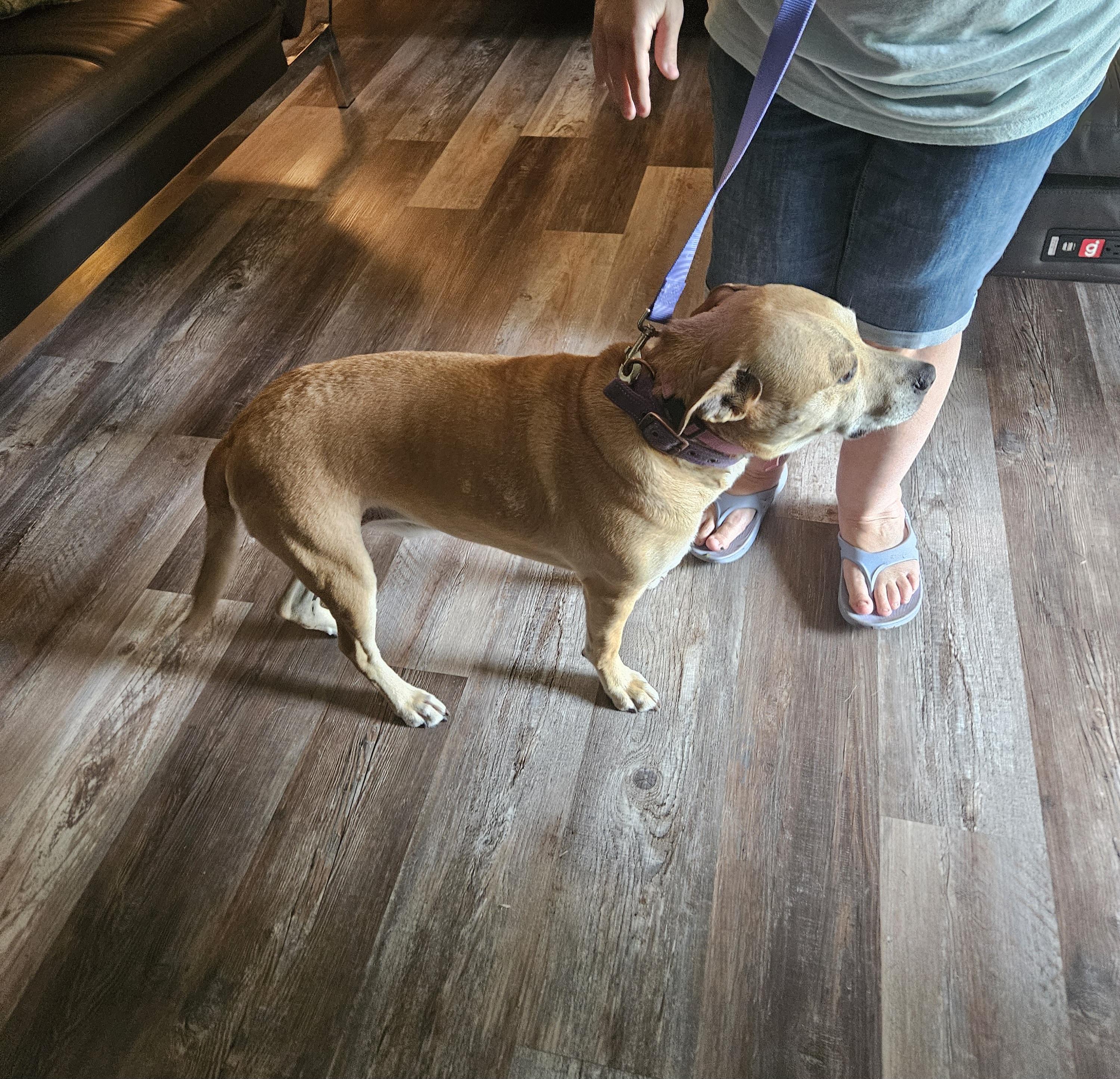 SAMMY JOE photo 3