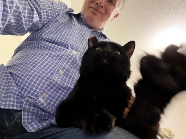 Enlarge Bruce Wayne, a ADOPTABLE Domestic Short Hair in Eugene, OR image 4/5