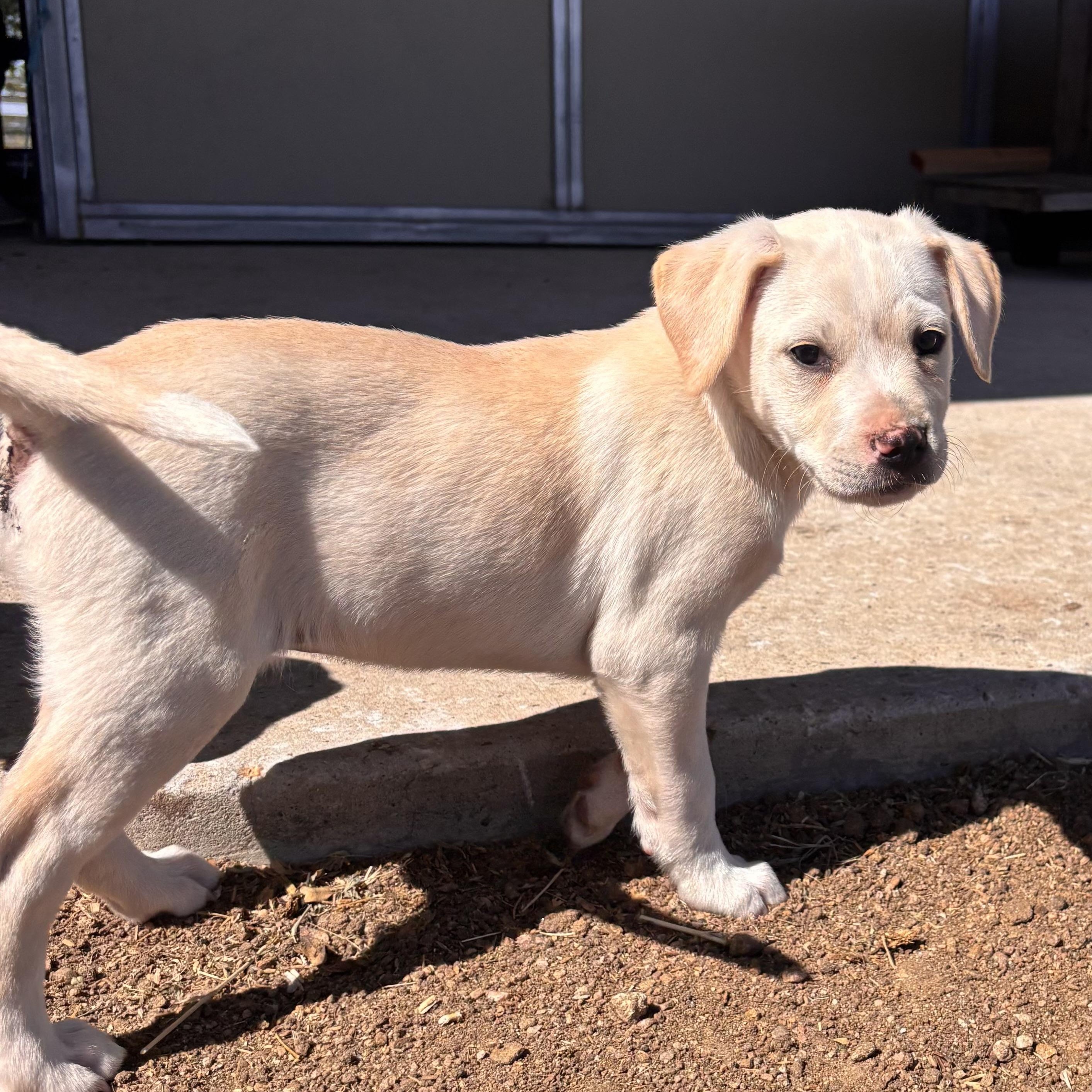 Yukon — thumbnail 3