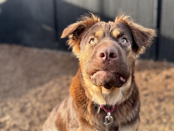 Alaska — thumbnail 2