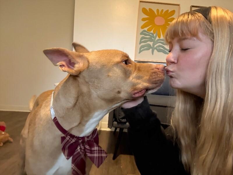 Ivan the Iconic — thumbnail 5